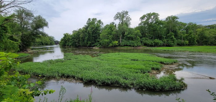 Vinces West Elm Drive-In - Photo From Listing On Web (newer photo)